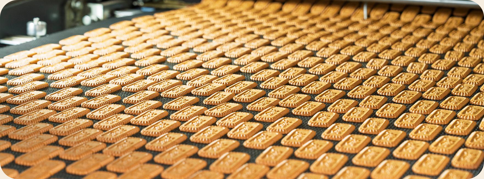 YOULEI Food Stuff Technique (jingjiang) Co., Ltd
